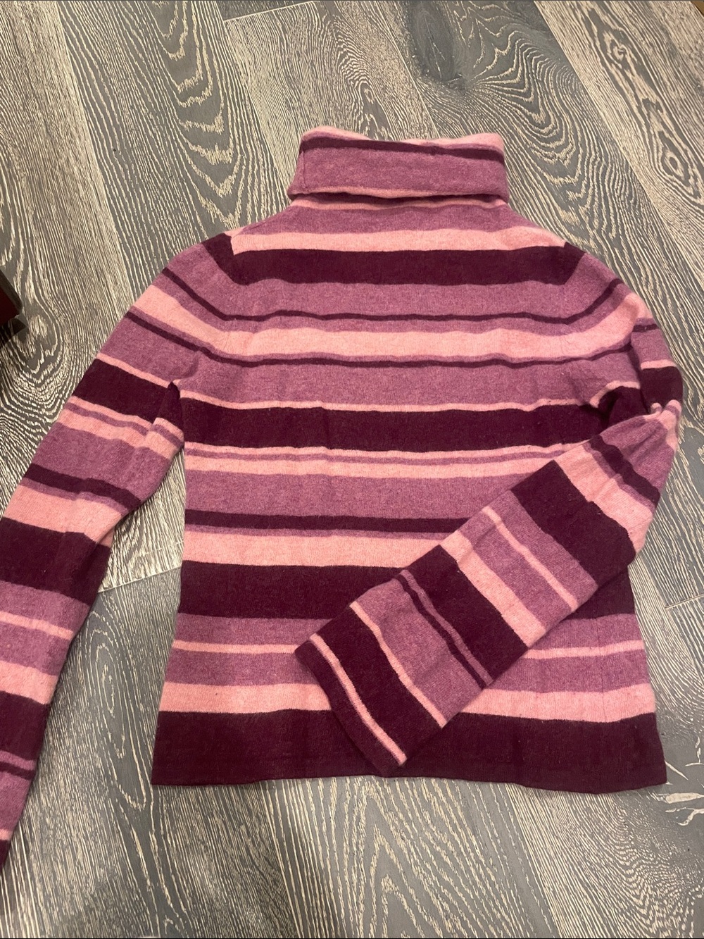 American Eagle Outfitters Pink & Burgundy Striped Turtleneck Sweater